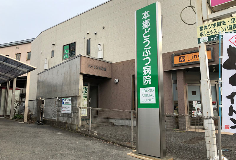 本郷どうぶつ病院様　建植看板