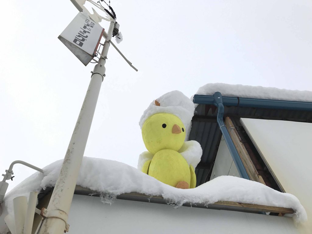 雪ですね。