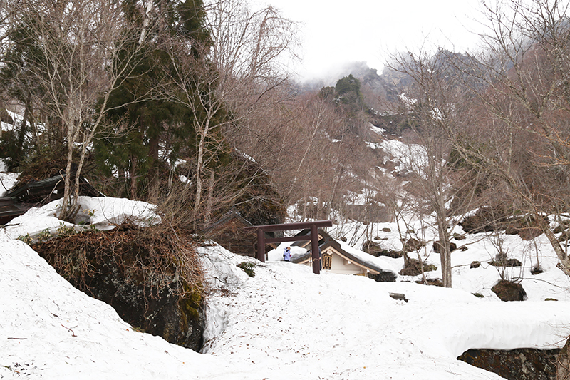 春まだ浅い戸隠神社奥社へ