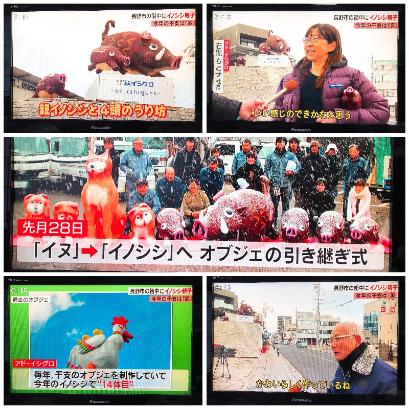 ニュースに取り上げていただきました！