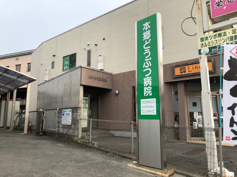本郷どうぶつ病院様の看板を制作させていただきました。