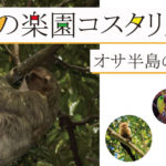 「最後の楽園コスタリカ」アイキャッチ