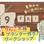 ws-りんご木箱プランター アイキャッチ