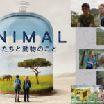 「アニマル ぼくたちと動物のこと」アイキャッチ画像